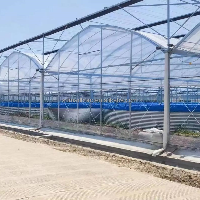 AIROW SDM Large Plastic Fish P - огляд і ціна Farm Pond Liner