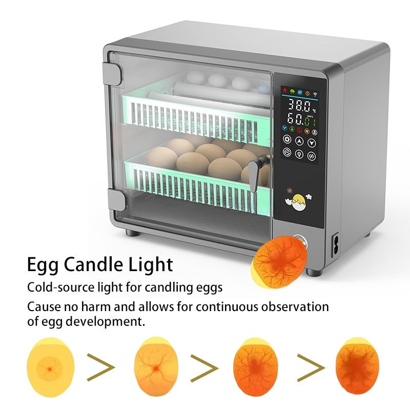 Factory Direct 2026 Fully Auto - огляд і ціна Poultry Incubator