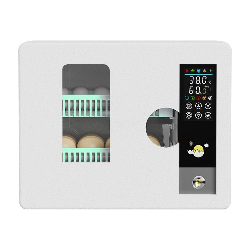 Factory Direct 2026 Fully Auto - огляд і ціна Poultry Incubator