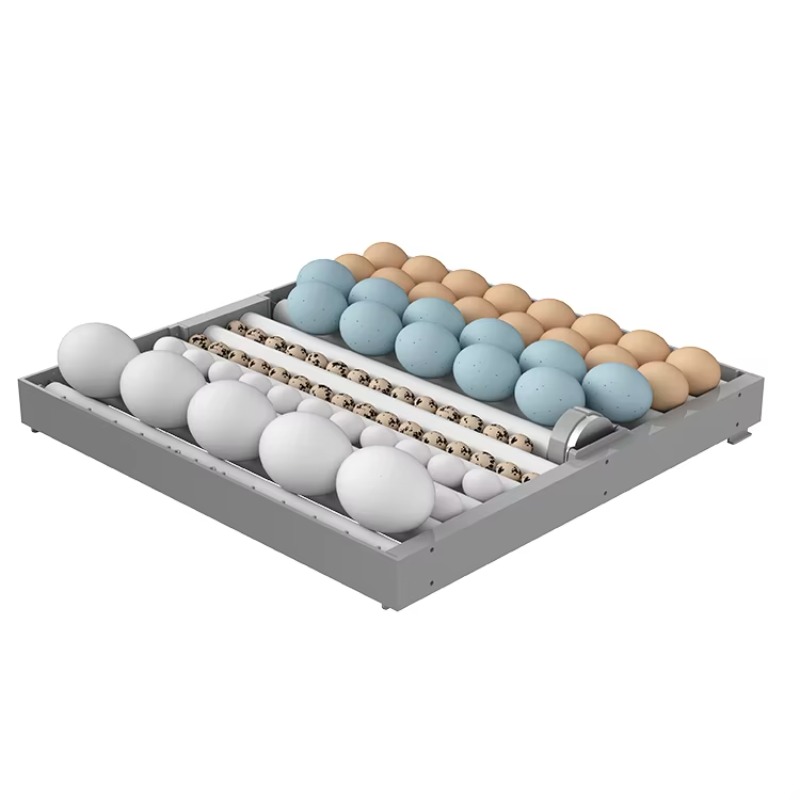 2026 7-Layer 448 Eggs Intellig - огляд і ціна Poultry Incubator