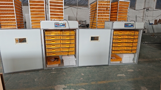 Large 1000 Eggs Incubator Mach - огляд і ціна Poultry Incubator
