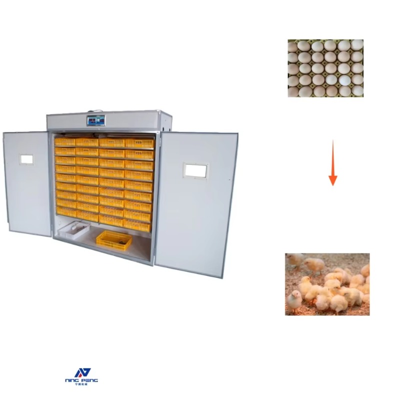Poultry Egg Incubator Machine  - огляд і ціна Poultry Incubator