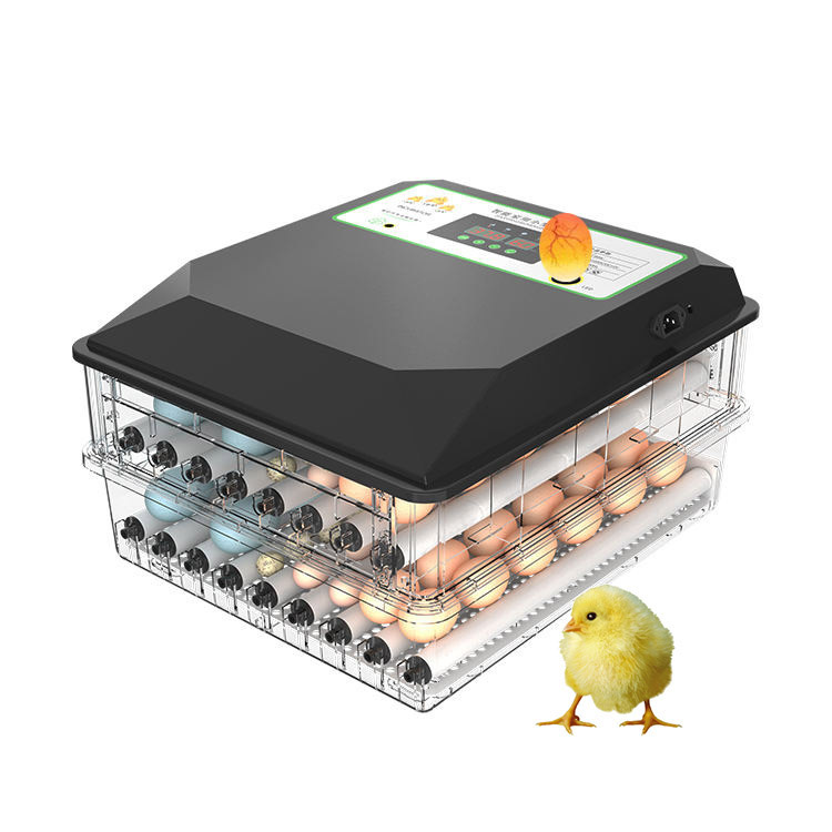 Widely Used Automatic Poultry  - огляд і ціна Poultry Incubator