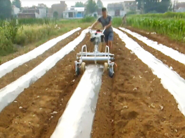 Mini Powered 5HP High Producti - огляд і ціна Seed Planter