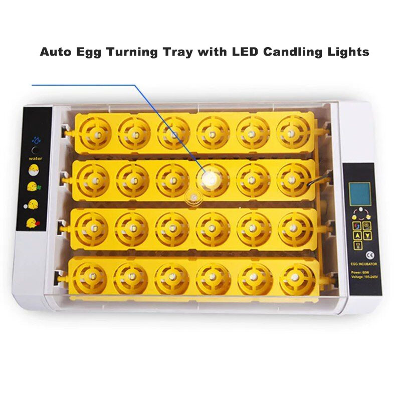 Fully‑Automatic Egg Incubator  - огляд і ціна Poultry Incubator