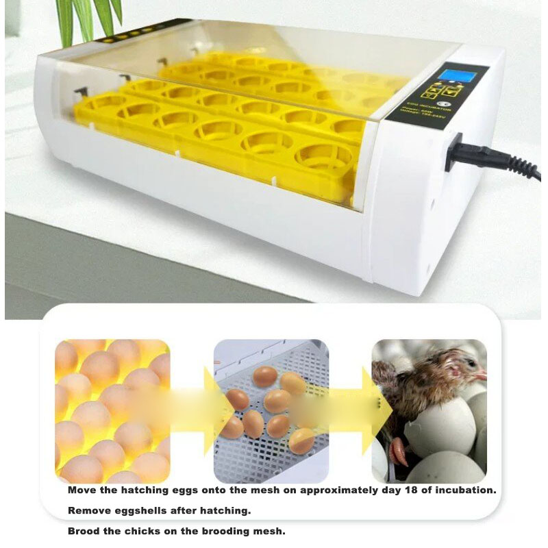 Fully‑Automatic Egg Incubator  - огляд і ціна Poultry Incubator