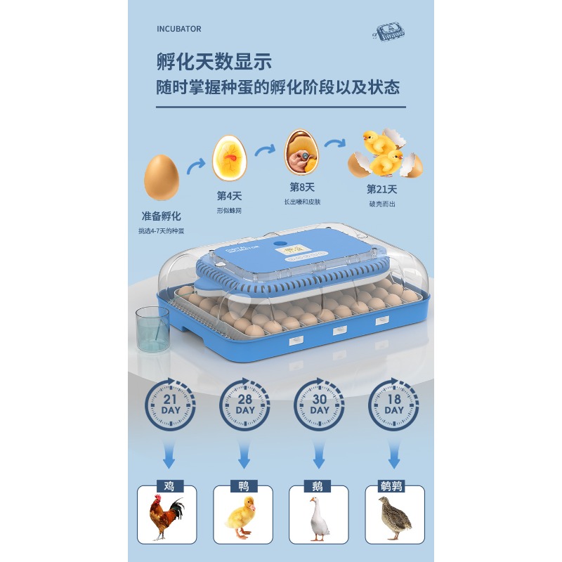 Automatic Egg Incubator Dual P - огляд і ціна Poultry Incubator