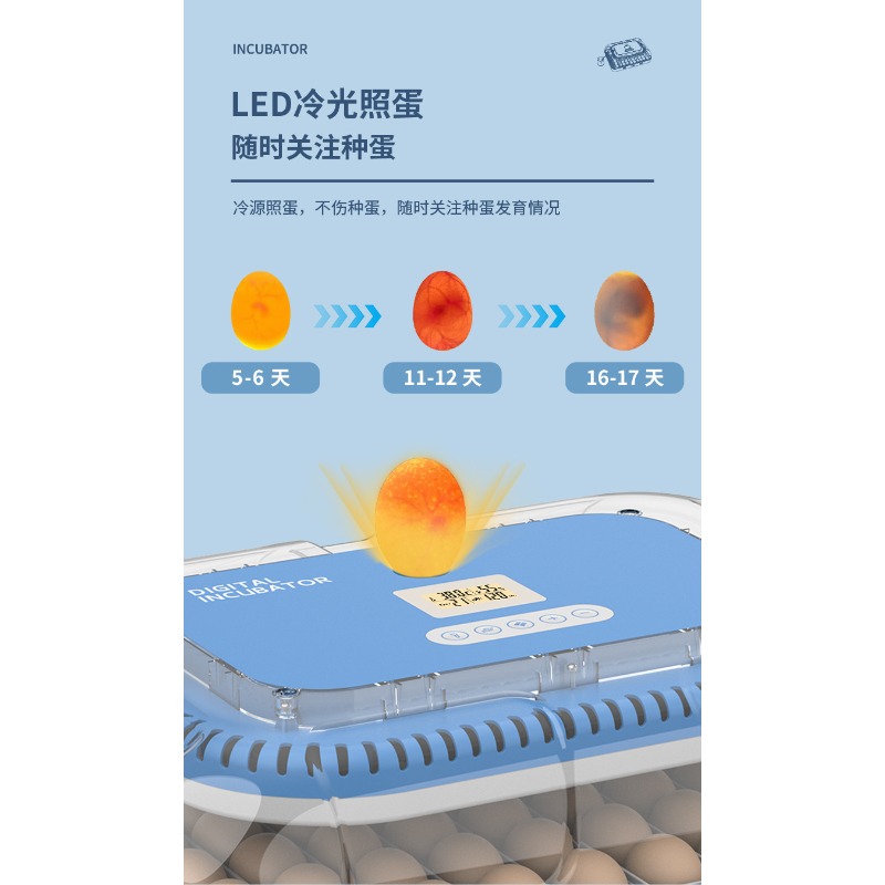 Automatic Egg Incubator Dual P - огляд і ціна Poultry Incubator