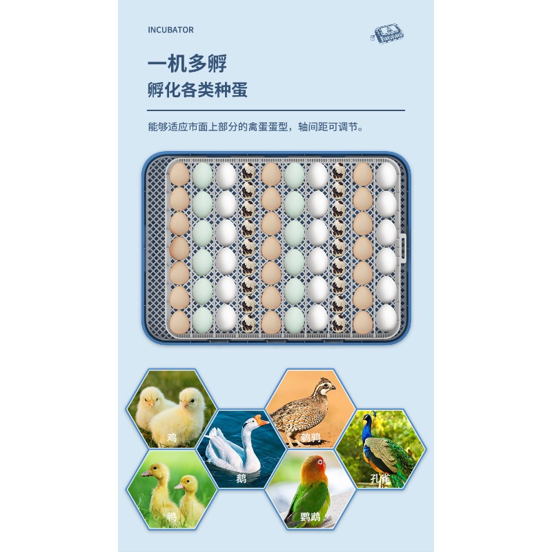 Automatic Egg Incubator Dual P - огляд і ціна Poultry Incubator
