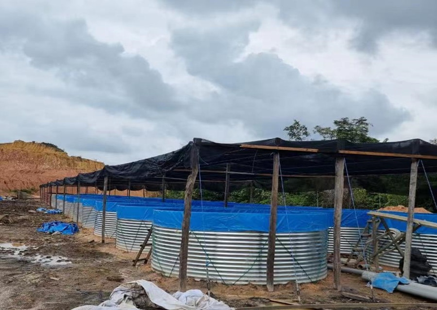 AIROW SDM Pvc Canvas Waterproo - огляд і ціна Farm Pond Liner