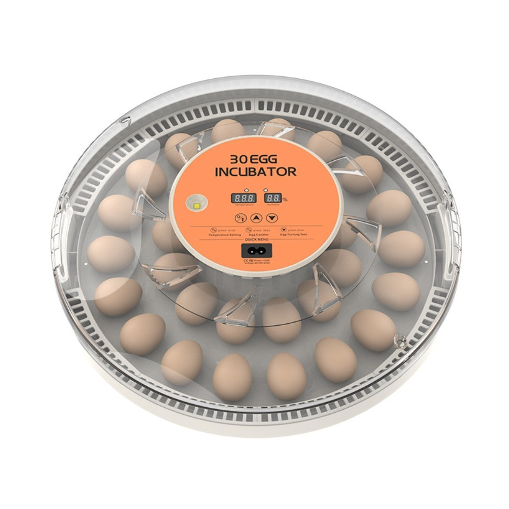 Small Automatic Poultry Incuba - огляд і ціна Poultry Incubator