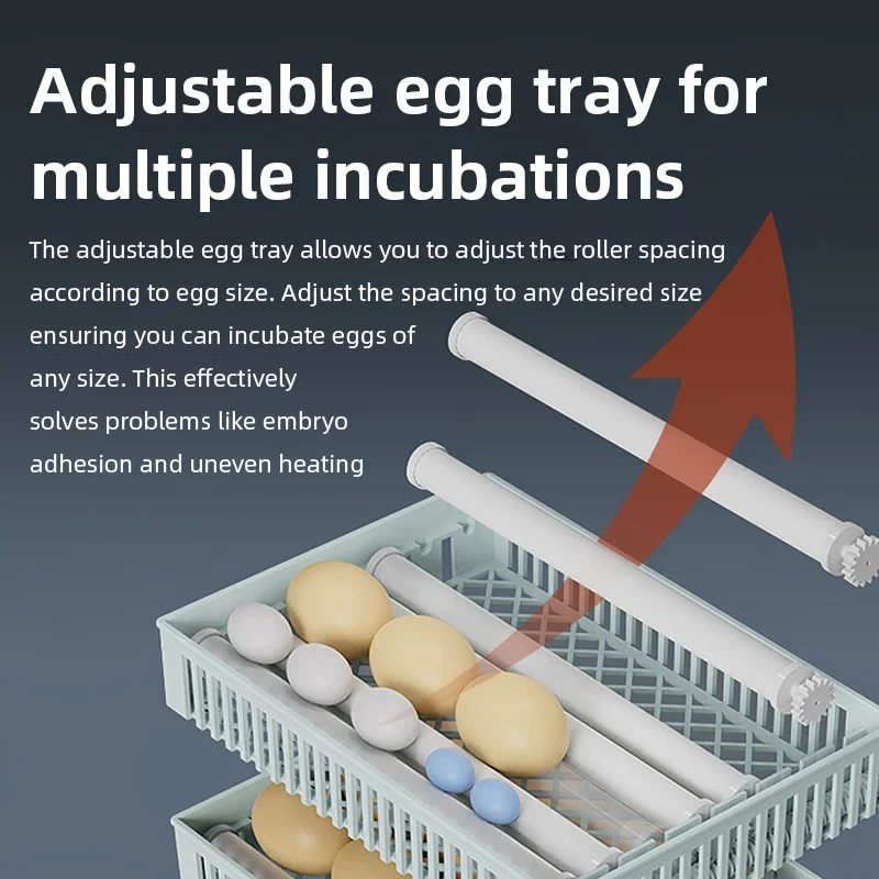 Smart Automatic Egg Incubator  - огляд і ціна Poultry Incubator
