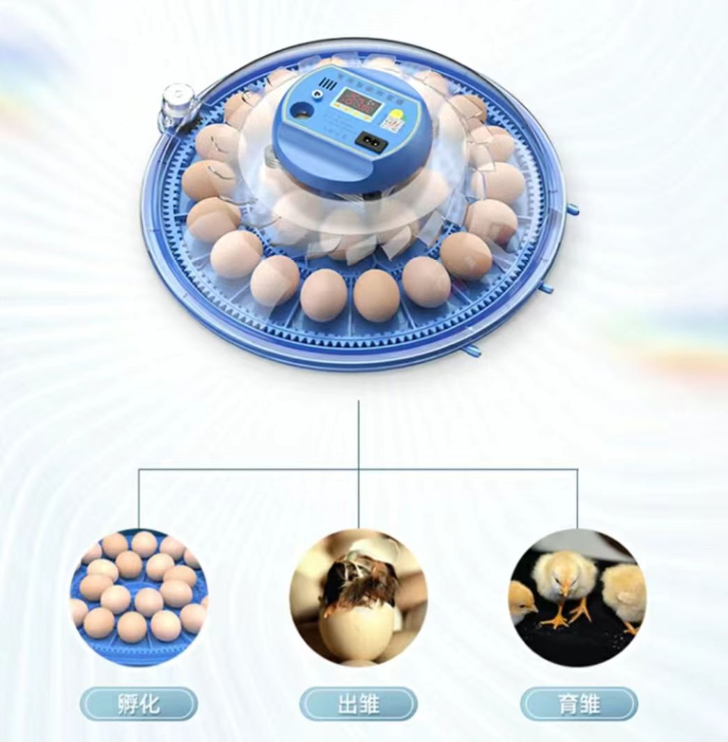 20/24/36/56/96/112 Eggs Chicke - огляд і ціна Poultry Incubator