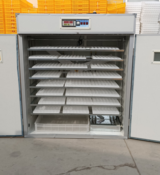20/24/36/56/96/112 Eggs Chicke - огляд і ціна Poultry Incubator